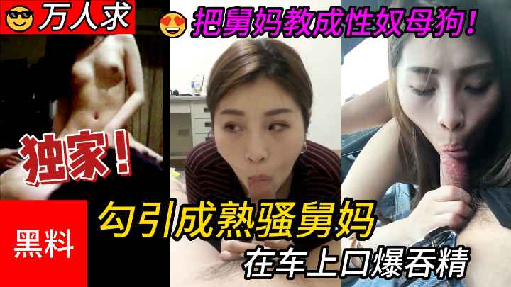 【乱伦】勾引成熟骚舅妈，牲口外甥把舅妈教成性奴母狗，在车上口爆吞精