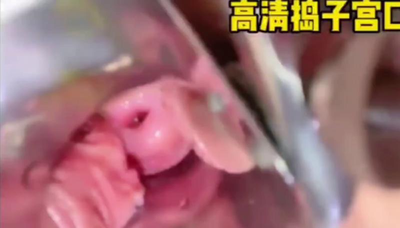 人美宫更美