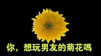 如何让男友达到前列腺高潮，男人也可以像女生一样持续高潮，教你玩弄男友菊花