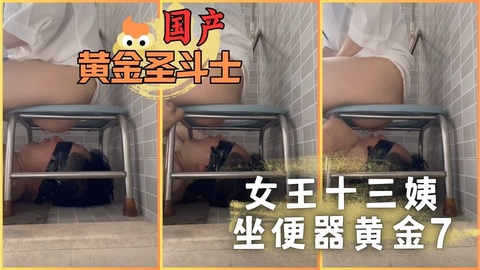 女王十三姨坐便器黄金7