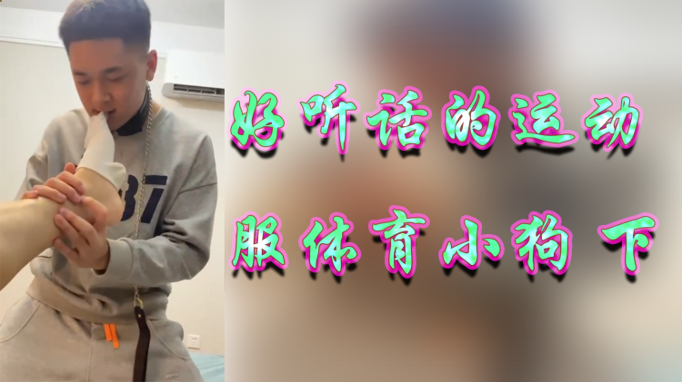 好听话的运动 服体育小狗 下