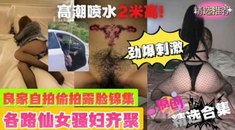 劲爆合集 各路仙女 良家 骚妇 自拍偷拍露脸性爱锦集！