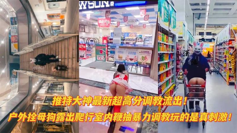 【最新流出超震撼大神作品】户外爬行露出双母狗室内调