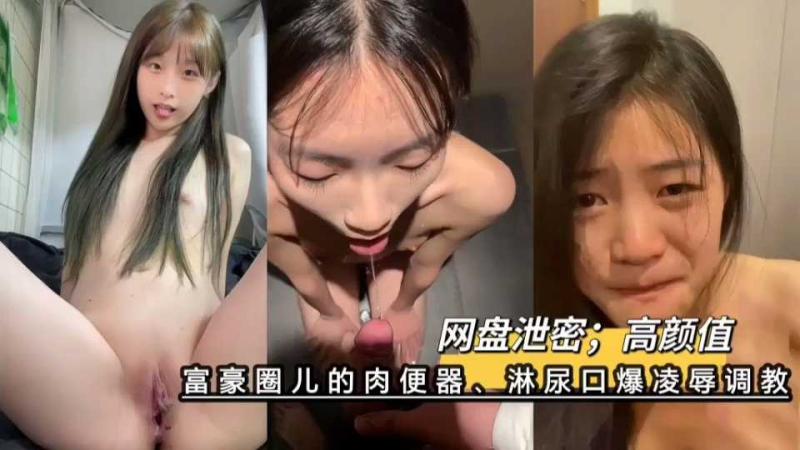 富豪圈儿的肉便器、淋尿口爆凌辱调教;网盘泄密、高颜值