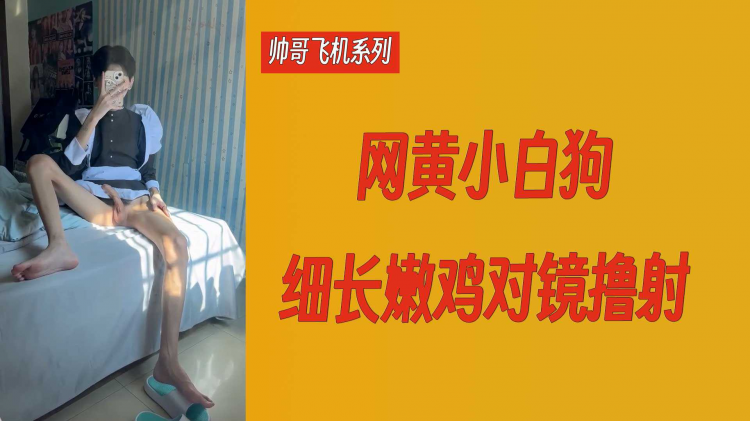 【帅哥飞机系列】网黄小白狗细长嫩鸡对镜撸射