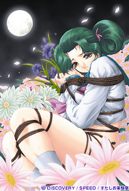 【0207】月花美人 2