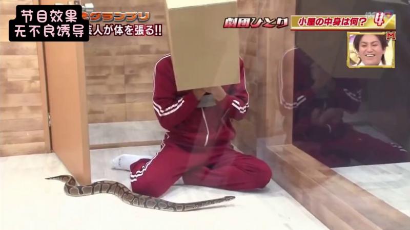 丧心病狂的小日子综艺 竟然让嘉宾蒙眼摸蟒蛇！！！