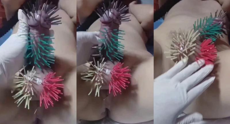 女主人真是心灵手巧，五颜六色的钉钉插满鸡鸡，头头和蛋蛋也没能幸免，这样看起来是不是更可爱了
