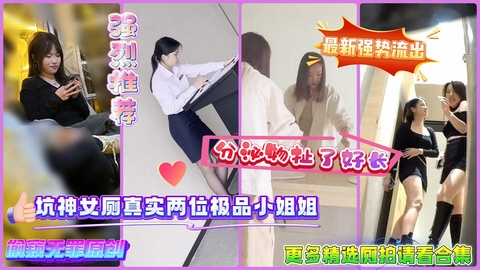 【精品厕拍】坑神女厕真实两位极品小姐姐