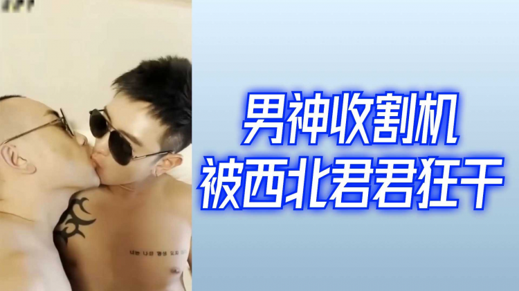 男神收割机被西北君君狂干