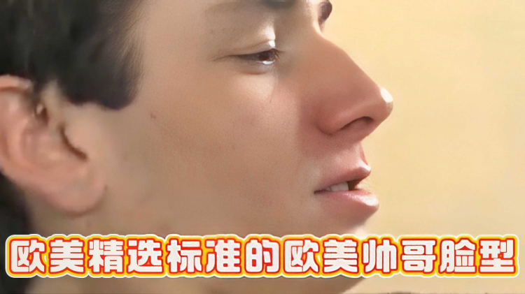 欧美精选标准的帅哥脸型