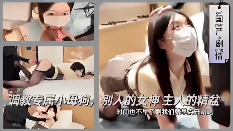 调教专属小母狗别人的女神 主人的精盆