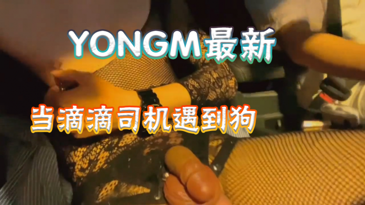 youngm最新勾引，当滴滴司机遇到穿情趣内衣的骚狗