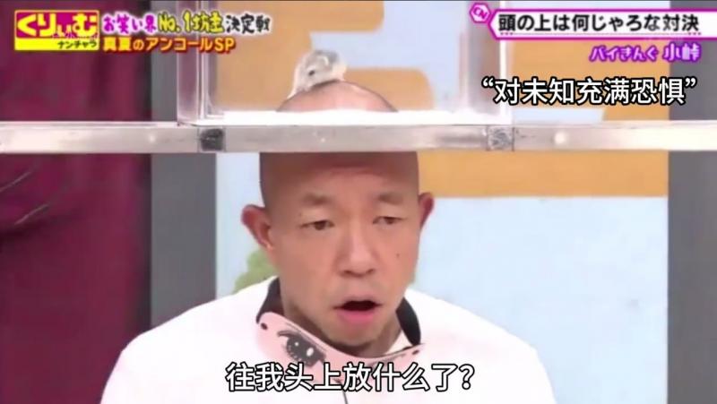 日本奇葩综_%( 艺头上放仓鼠，猜物品大赛
