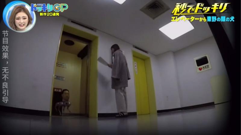 日本奇葩综艺整蛊大事件，换做是我可能就寄了
