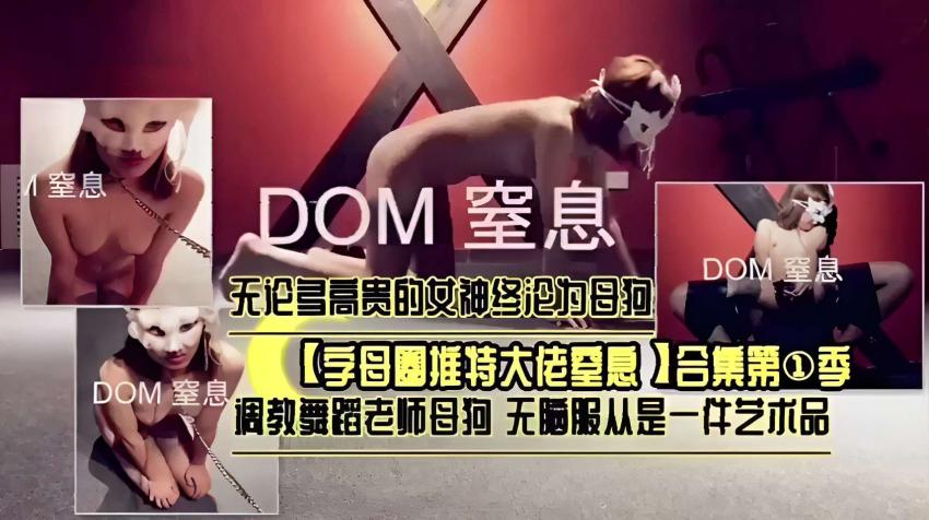 DOM窒息！无论多高贵的女神终论为母狗，【享母围推特大佬空息】合集第①季调教舞蹈老师母狗 无脑服从是一件艺术品