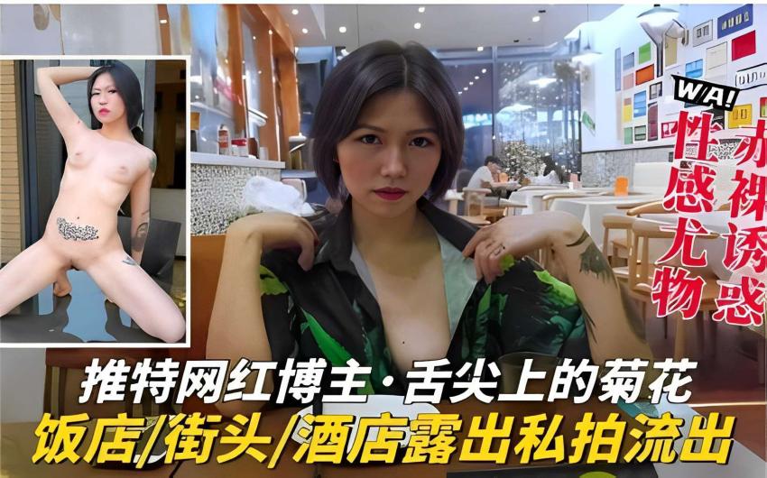推特网红;博主·舌尖=上的菊花饭店/街头/ *;酒店露出私拍流出