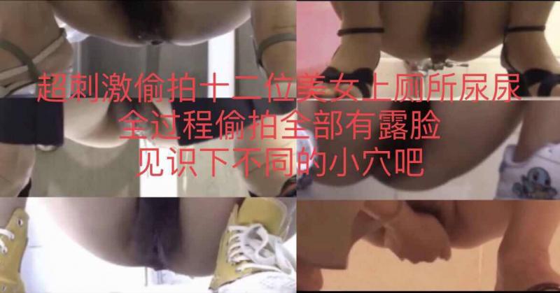 超刺激偷拍十二位美女上厕所尿尿全部有露脸
