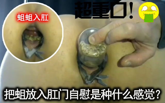 重口慎入！大胆伪娘把一;\=罐蛆!塞入肛%门感受:@@`蠕动的自慰感觉