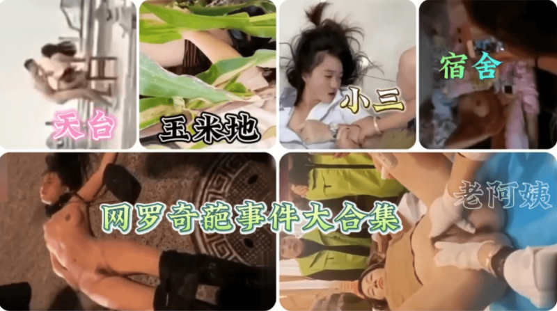天下奇葩事件一锅端《简直不敢相信》