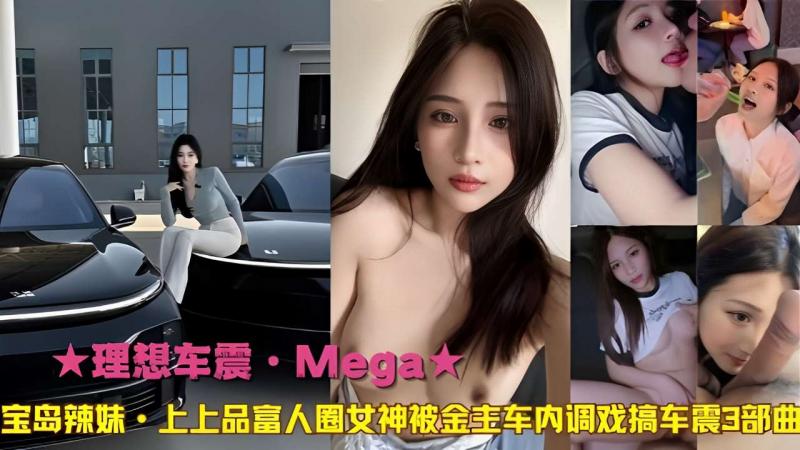 理想车震·Mega宝岛辣妹·上上品富人圈女神被金专车内调戏搞车震