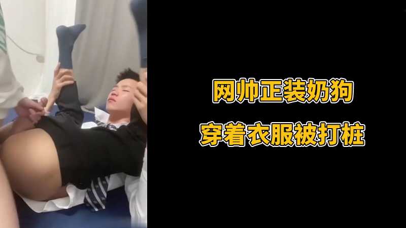 网帅正装奶狗，穿着衣服被打桩