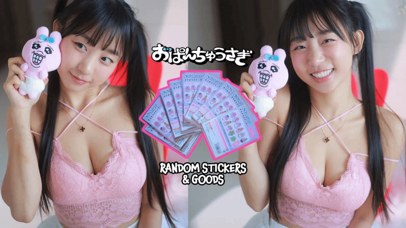 我也找到翻版了！欧巴Chu随机贴纸里有什么呢？欧巴Chu乌萨基周边收藏（韩国名字是内裤兔子）