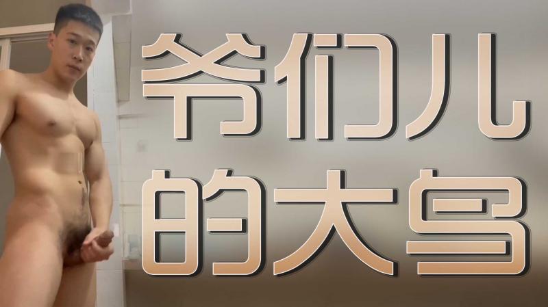 爷们儿的大鸟