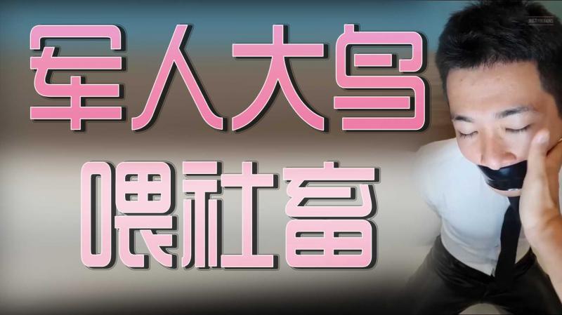 军人大鸟喂社畜