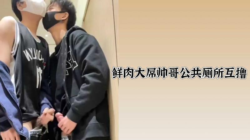 鲜肉大屌帅哥公共厕所互撸
