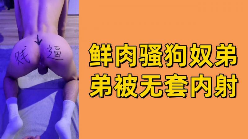 【免费】鲜肉骚狗奴弟弟被无套内射