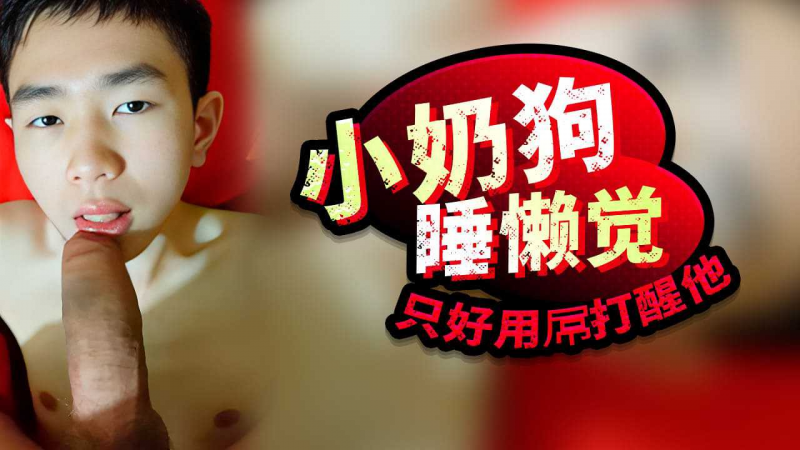 小奶狗睡懒觉只好用屌打醒他