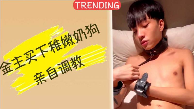 金主买下稚嫩奶狗亲自调教