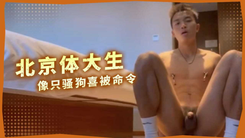 北京体大生像只骚狗喜被命令