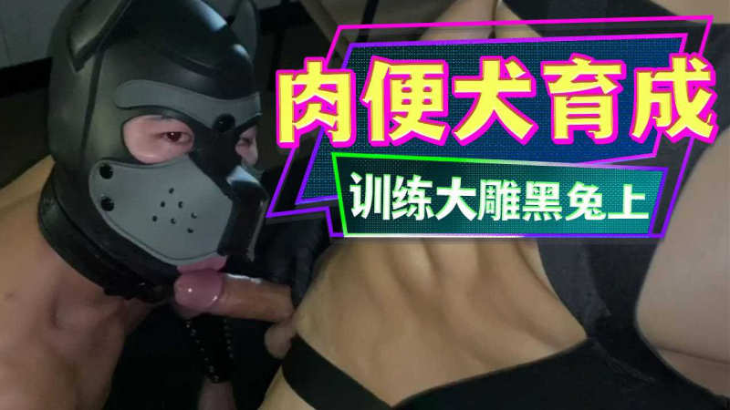 肉便犬育成训练-大屌黑兔的淫乱双插(上集)