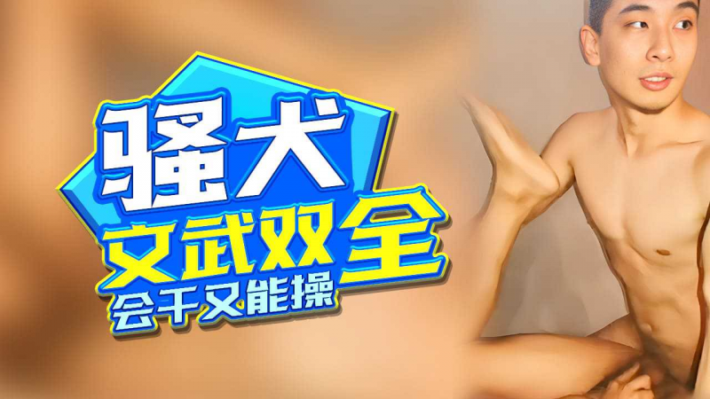 小骚犬文武双全会干又能操