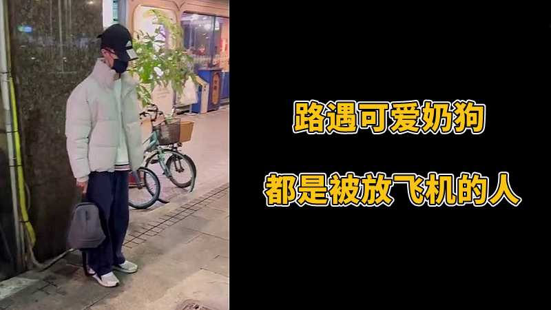 路遇可爱奶狗，都是被放飞机的人