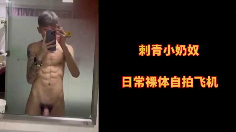 刺青小奶奴，日常裸体自拍飞机