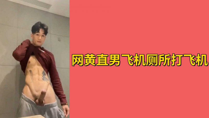 网黄直男飞机厕所打飞机