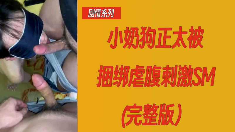 【剧情系列】小奶狗正太被捆绑虐腹刺激SM（完整版）