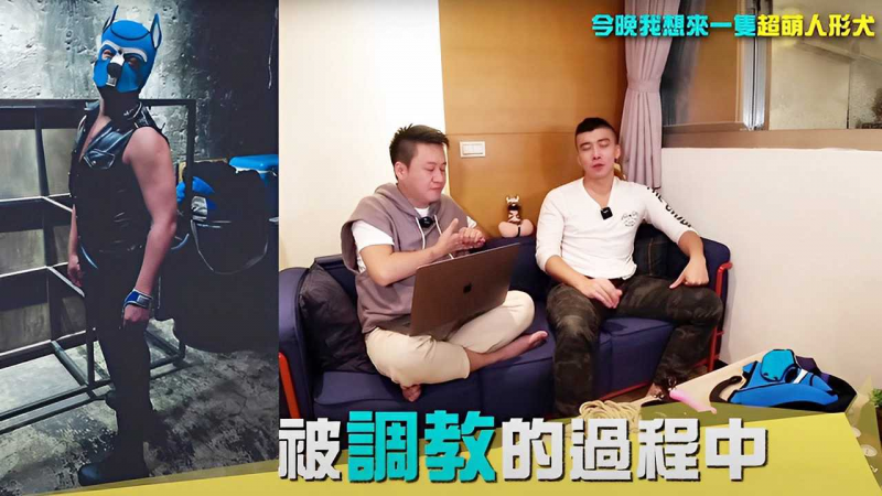 来主人抱抱！今晚我想来只＿超萌人形犬！