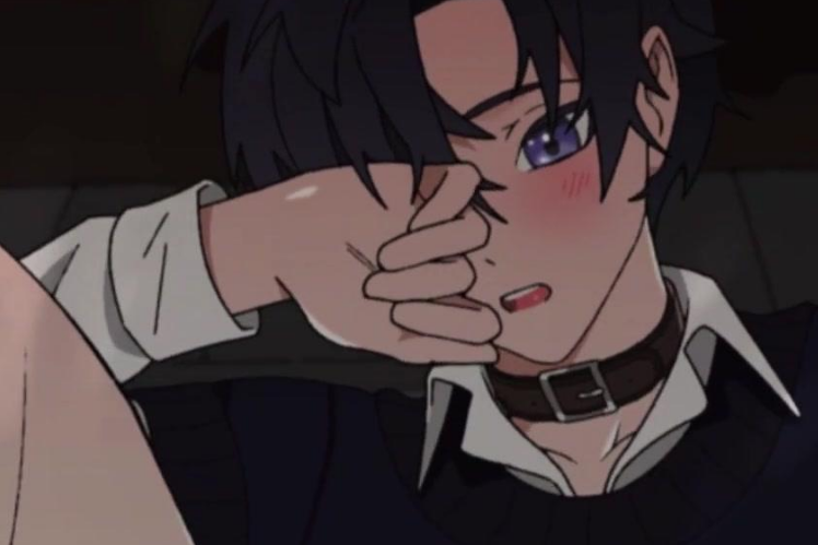 Shoto的特别之夜